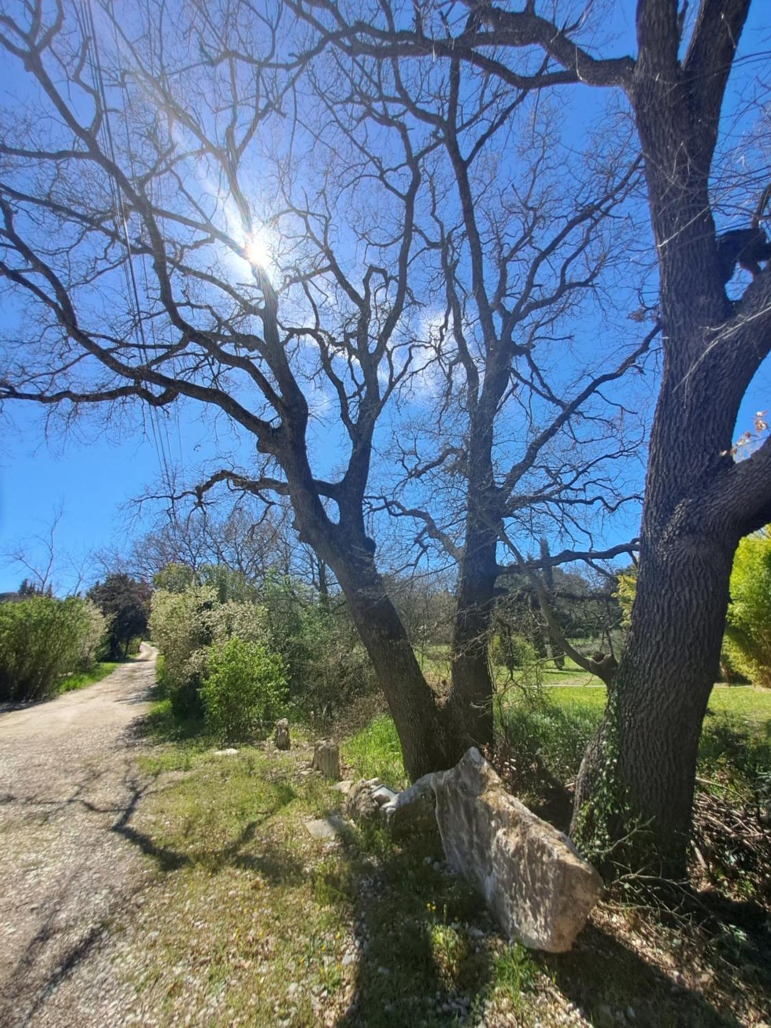 T2 Au Naturel Αιξ-αν-Προβάνς Εξωτερικό φωτογραφία